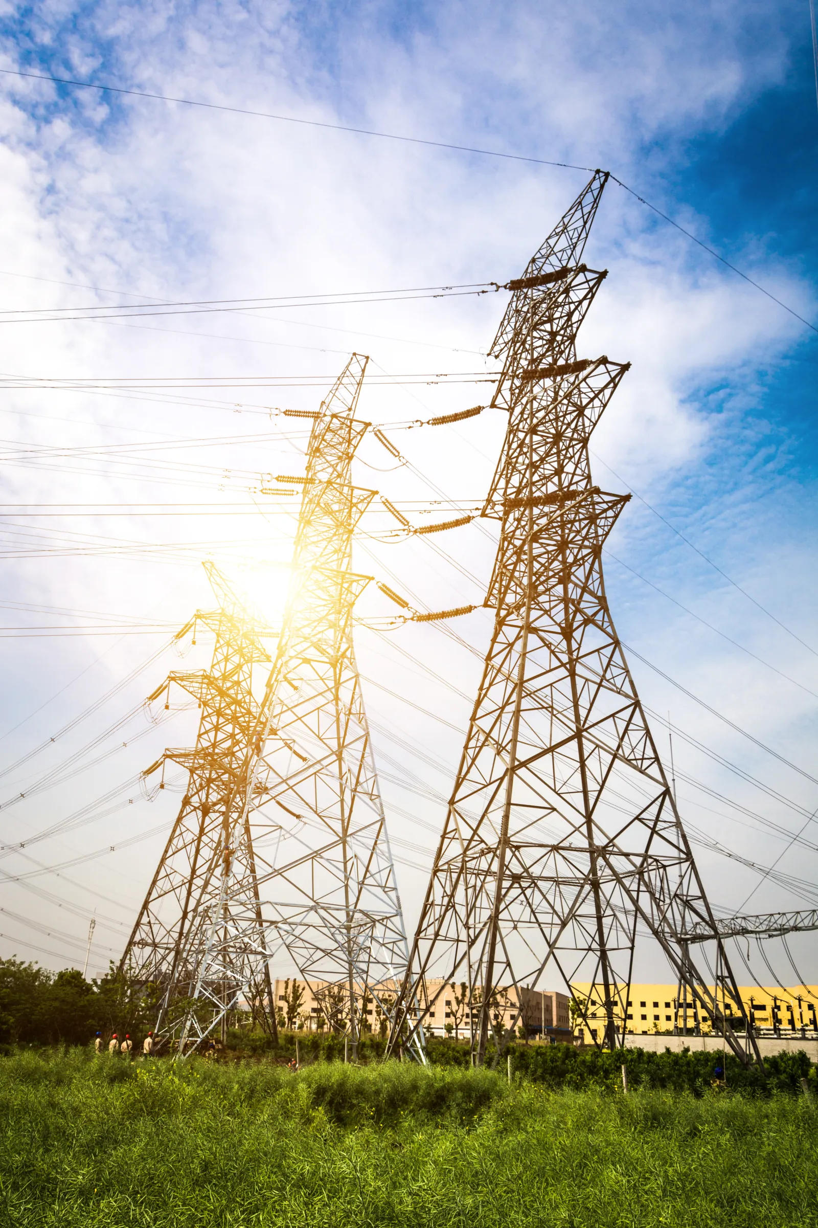 Electricity pylons in sunlight